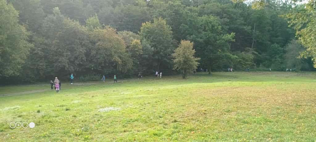 Lauf_2 https://helenentalschule.de/wp-content/uploads/2026/02/Lauf_2.jpg